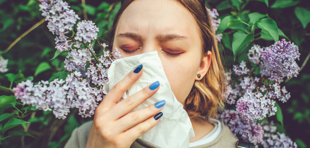 Hayfever_sneeze_tissue.jpg
